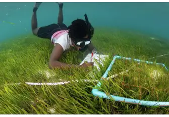 Blue Marine's scientists collect the data needed to hold the global powers accountable