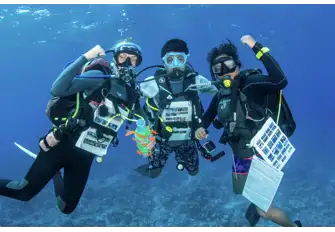 Every bit of business we do generates funding for Blue Marine Foundation
