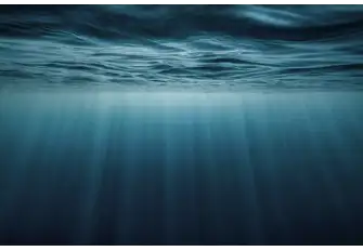 Until now, yachting has damaged ocean health. It's up to us to redress the balance and reduce our impact