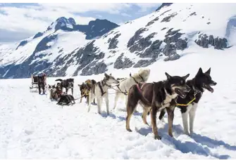 Head ashore for a dog-sled ride through the crisp snow