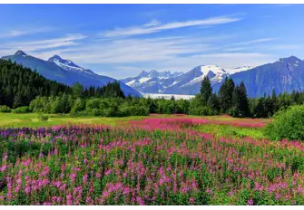 The Juneau trail is a thing of beauty. Indulge in the vibrant colours of the flowers and the picturesque mountainscape&nbsp;