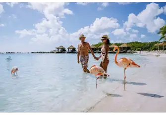 Sensational beaches, great restaurants and wonderful wildlife, Aruba has it all