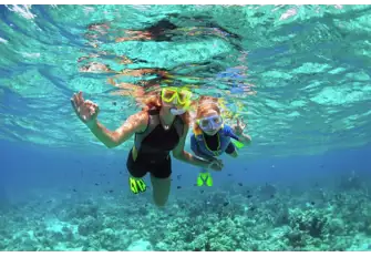 Adventure below the surface and discover the vibrant marine life The Bahamas has to offer