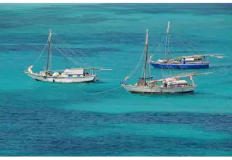 Deep sea fishermen typically populate the waters of the Abaco sea. You might get the chance to see them at work