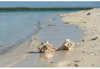 Keep an eye out for shells and starfish along the sandbars of Leeward Beach