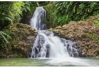 Explore Grenada and take a visit to some of the famous waterfalls