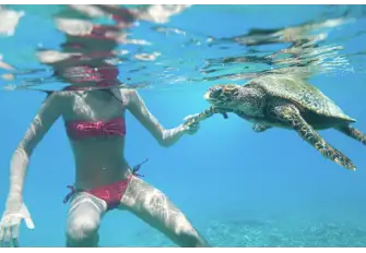 You may be lucky enough to meet some of the locals