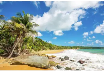 Enchanting indeed! Motor across to Culebra Island and drop anchor in Flamenco Bay to enjoy its stunning beach