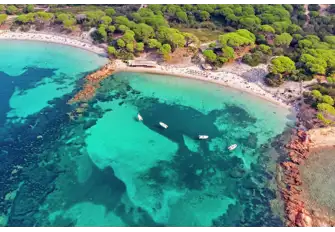 The south east Corsican beach of Palombaggio, near Porto Vecchio, is justly renowned as one of Europe's finest, with its umbrella pines, orange rocks, white sand and gin-clear waters