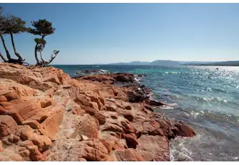 Rugged beauty on the south east coast at Palombaggia Beach