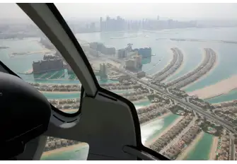 Admire The Palm from a different perspective