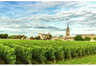 Savour the beautiful memories with a glass of wine from Bordeaux's world-famous wineries&nbsp;