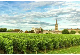 Savour the beautiful memories with a glass of wine from Bordeaux's world-famous wineries 