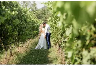 Vineyard wedding photos, how stunning