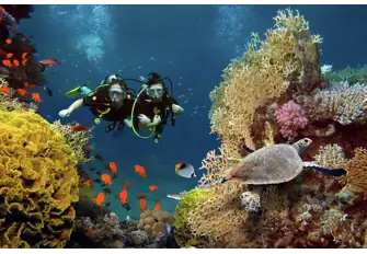 Take a dive and visit the UNESCO-classified biosphere reserve