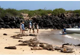 When your tender arrives, you'll have to share the beach with the locals
