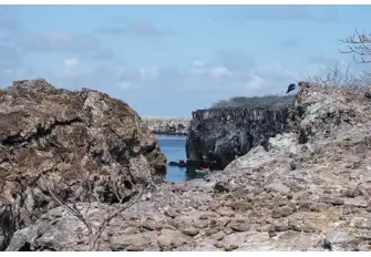Prince Philip's Steps is where you can get up close to the variety of seabirds on Genovesa Island
