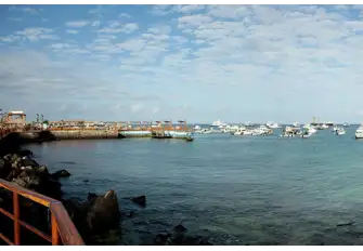Puerto Baquerizo Moreno used to be called Darwin Bay, and it's believed to be the place where the renowned naturalist first landed