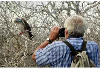 This red-footed booby is in the frame. Stay close to your guide and don't forget your camera when heading ashore