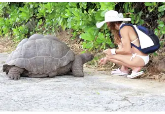 The Galapagos Giant Tortoise can grow for up to 40 years, reaching approximately 1.5m and weighing up to 417kg