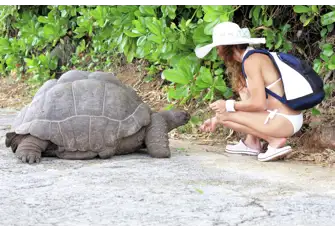 Create lifetime memories and experiences while visiting the Galapagos