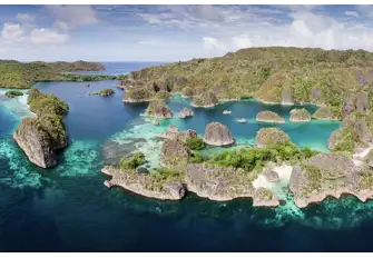 Discover the hidden gems of the Raja Ampat Islands as you swim alongside dolphins and manta rays