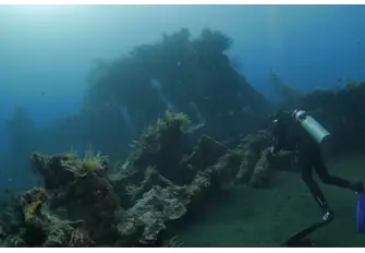 Located just 30m offshore, the wreck has easy access from the beach