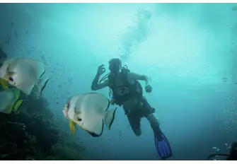 Exceptional diving year-round and huge biodiversity in these nutrient-rich waters