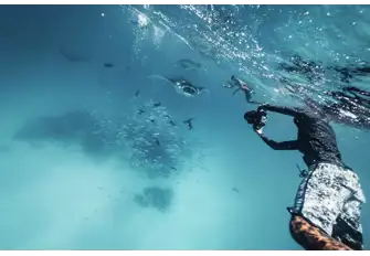 Visit Manta Point and swim with the manta rays