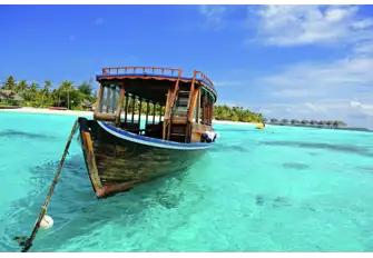 Reefs are easily explored just walking out from the shore