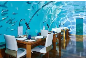 Enjoy a lovely romantic dinner with marine life for company 