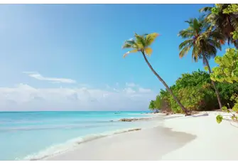 The North Male atoll has more to offer than great waves