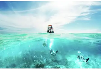The island of Cozumel is a scuba diver's dream, home to dolphins, sea turtles and reef sharks