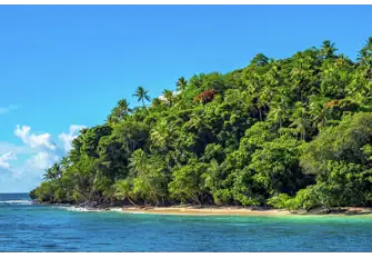 Absorb the picturesque views as you cruise