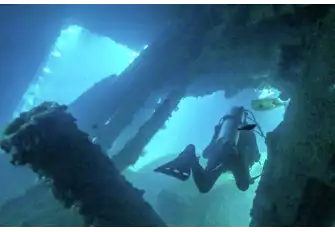 The wreckage is home to various marine species, such as barracuda and lionfish