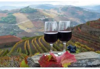 Pay a visit to the vineyards and indulge in a glass or two of Portuguese port