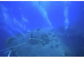 Aim for an early morning dive to avoid large crowds of people