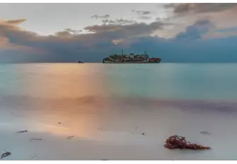 Discover the Al Fahad shipwreck on the shore of Jeddah