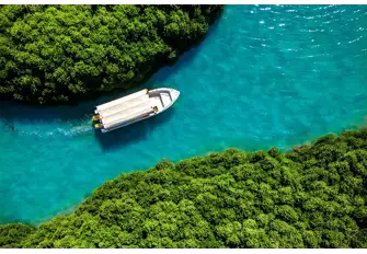 Admire the beautiful picturesque landscapes of the Farasan Islands mangrove forest