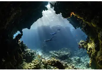Take a deep dive and explore Saudi's stunning marine life