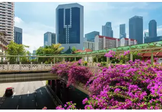 Start your honeymoon off with fresh air and beautiful sceneries 