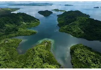 Exploring ashore is a must with stunning forest landscapes, who could resist?