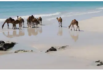 Camel Beach located on the southern end of Kargi Bay