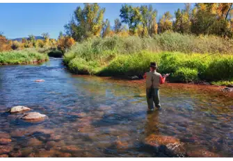 If fly fishing is more of your style visit Roaring Fork River