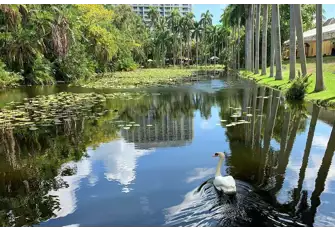 Bonnet House was built in 1920
