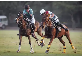Come to watch polo, the fast-paced sport of kings!