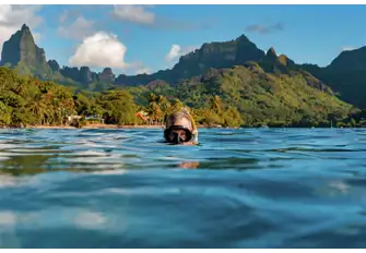 Sunset Snorkel - L Pinto, 2022 entrant