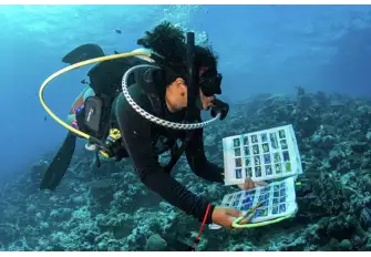 Blue Marine Foundation brings its 'The Sea we Breathe' immersive experience to our stand