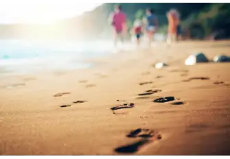 Unwind on the golden sand after a long day of exploration