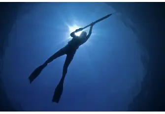 Spearfishing while freediving, Bahamas-style